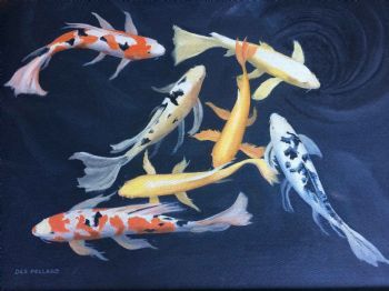 "Koi "