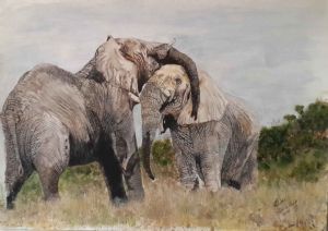 "Elephants: Old Friends"