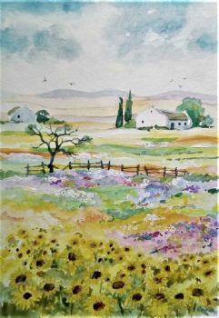 "Namaqualand Flowers"