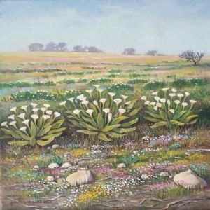 "The Lilies of the Veld"