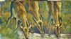 "Three Springbok at Waterhole"