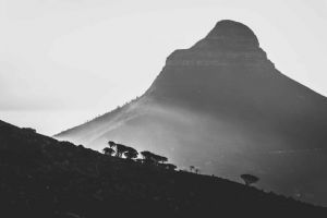 "Lion’s Head Silhouette"