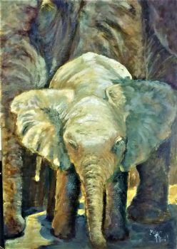 "Protected (Baby Elephant)"