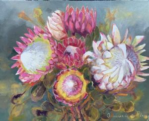"Protea 13"