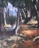 "Forest Walk"
