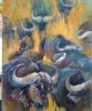 "Buffalo on the Move"