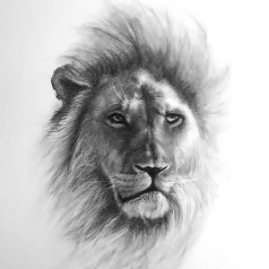 "Lion"
