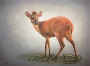 "The Little Redhead"