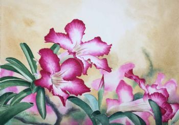 "Desert Rose"