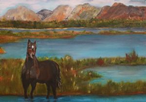 "Lone Stallion Botriver Lagoon"