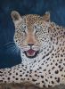 "Leopard"