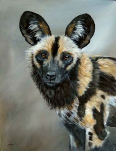 "African Wild Dog"