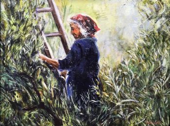 "Olive Harvest"