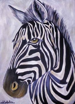 "Zebra 1"