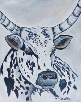 "Nguni"