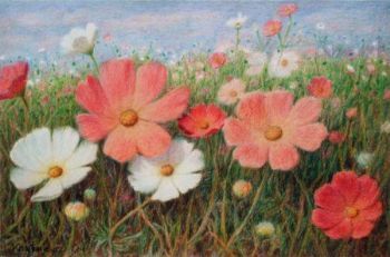 "Cosmos 2"