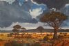 "Quiver Tree Overcast Day "