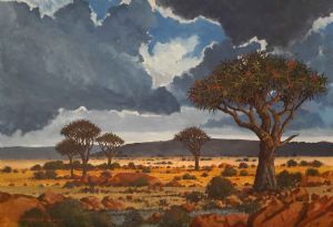 "Quiver Tree Overcast Day "