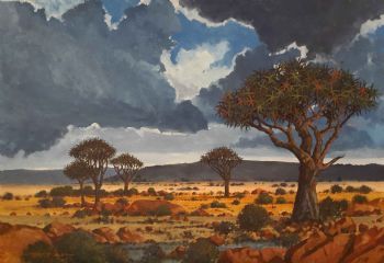 "Quiver Tree Overcast Day "