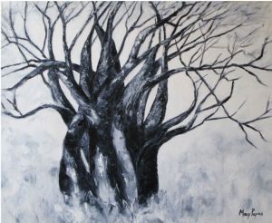 "Baobab Tree at Voctoria Falls"