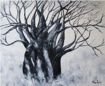 "Baobab Tree at Voctoria Falls"