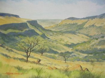 "Mgeni River Gorge"