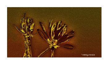 "A Twist of Golden Nature"