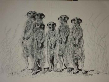 "Meercats"
