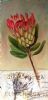 "Protea with Serviette Inlay Detail"