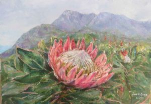 "King Protea"