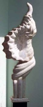 "Evolution of a Shell"