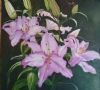 Casablanca Lilies