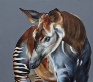 "Okapi"
