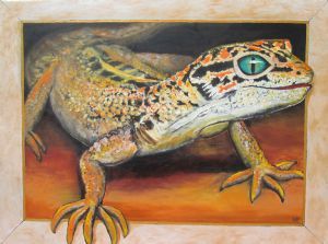 "Gecko Echo "
