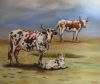 "Nguni cows on the beach 2"