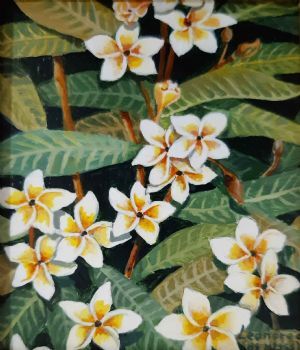 "Miniature- Frangipani"