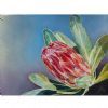 "Cape Protea 1"