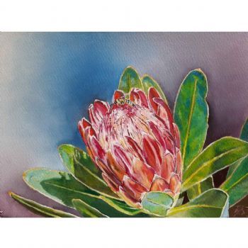 "Cape Protea 2 "