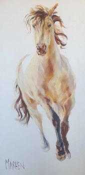 "Goldie"