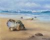 "Sounds Of The Sea"