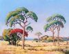 "A Quiet Morning in the Bushveld (Pierneef Style)"