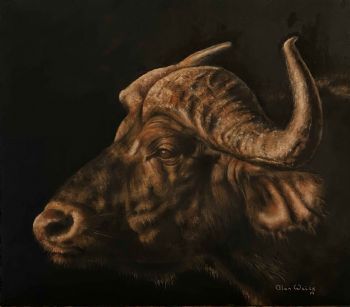 "Buffalo Sunset"