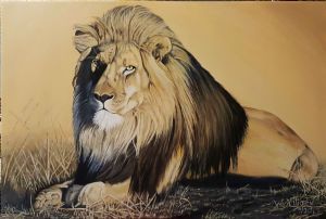 "Lion Resting"