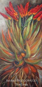 "Aloe 4"