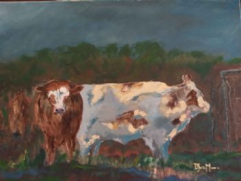 "Cattle Morning"