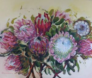 "Proteas Nr 16"