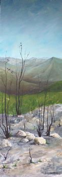 "Scorched Earth"