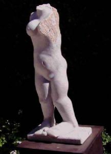 "L'essere Timida"