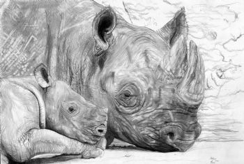 "Rhinoceros And Crash"