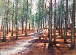 "Sunup in Tokai Forest"
